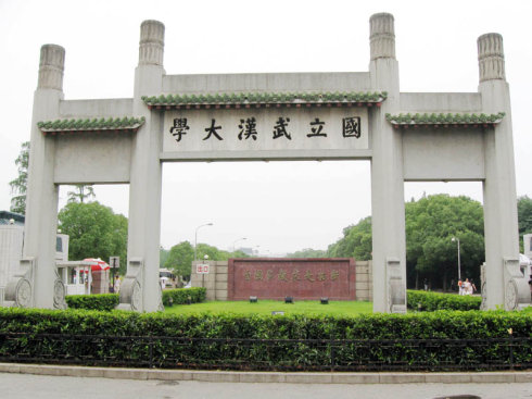 中国7所七星大学,武汉大学排名第4