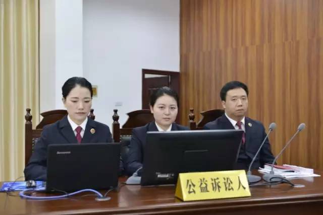 湖北省首例检察机关提起的行政公益诉讼案一审
