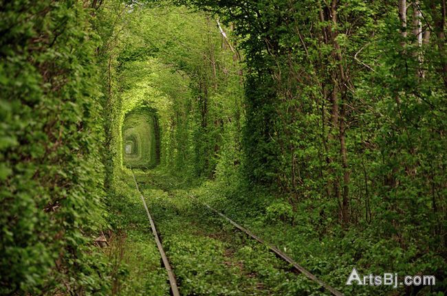 乌克兰的"爱情隧道"