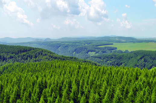 中央财政大力支持农业综合开发林业生态示范项