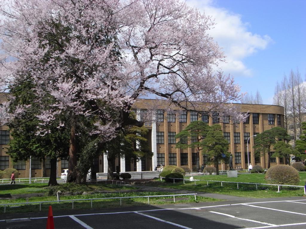 日本名校屡遭炸弹威胁 舆论呼吁政府加强安保