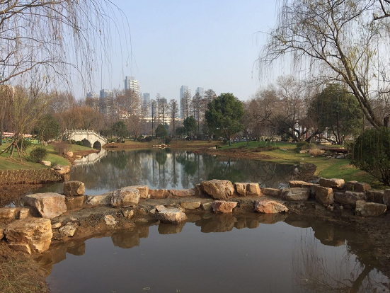 武汉完成城市绿地建设面积783.3公顷 人均公园