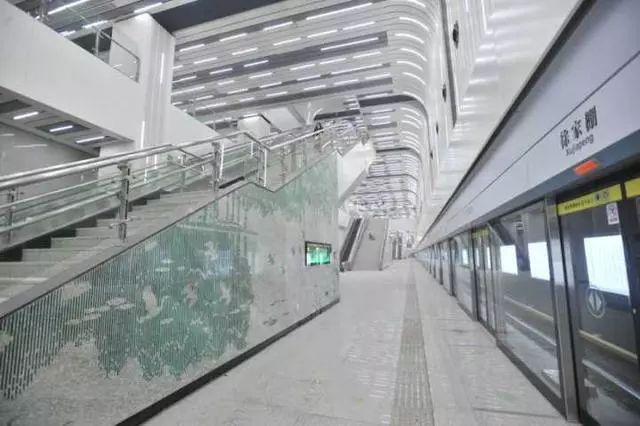 把东湖绿道、芦苇荡放进地铁站,武汉地铁8号线