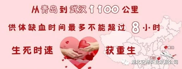 武汉天河机场地服公司生命接力保障活体心脏