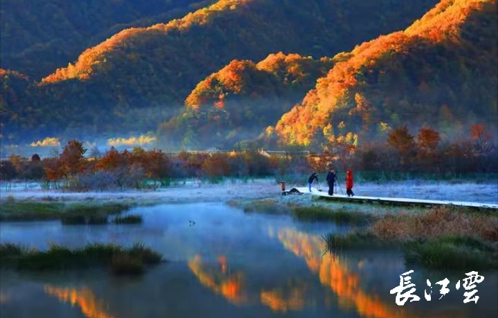 打卡湖北秋色地图：神农架秋天有多美！