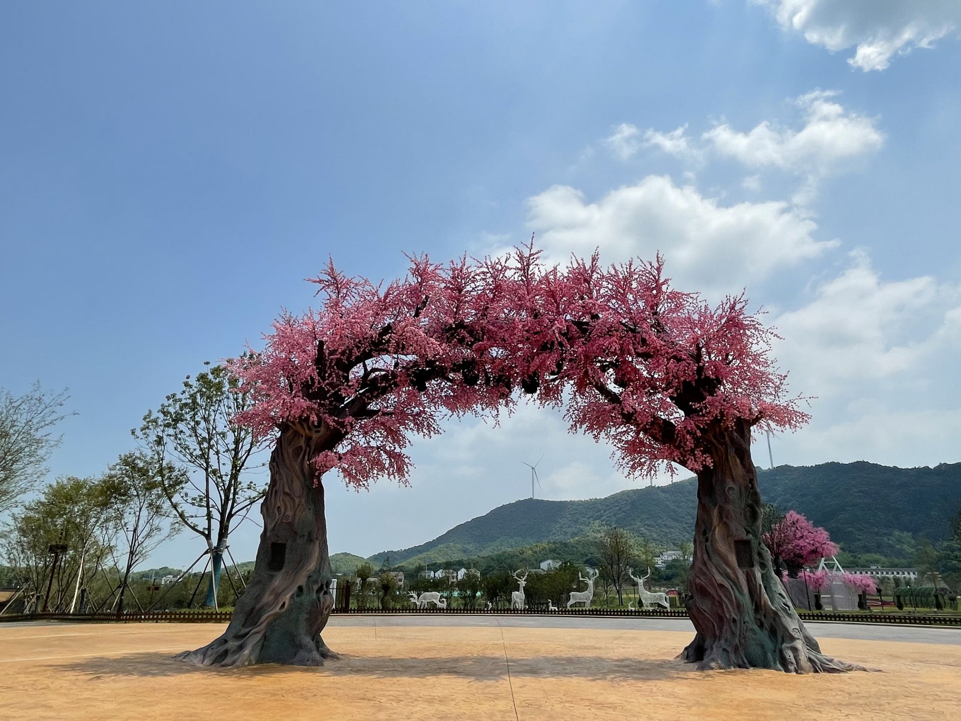 石首桃花季图片